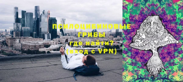 винт Аркадак