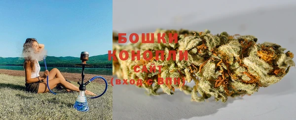 винт Аркадак