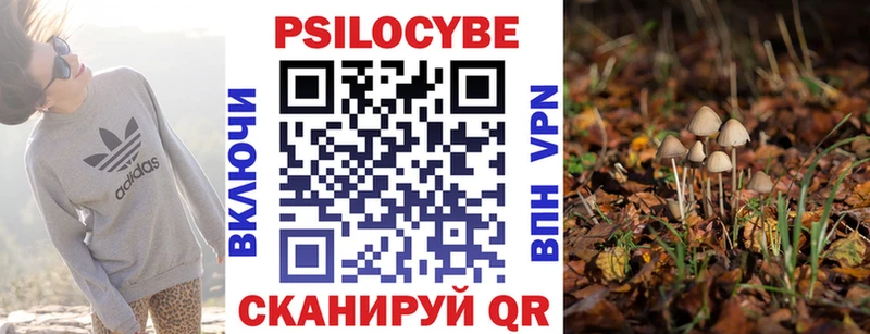 Галлюциногенные грибы Psilocybe  Купить  Сергач 